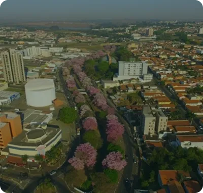 Araras - São Paulo