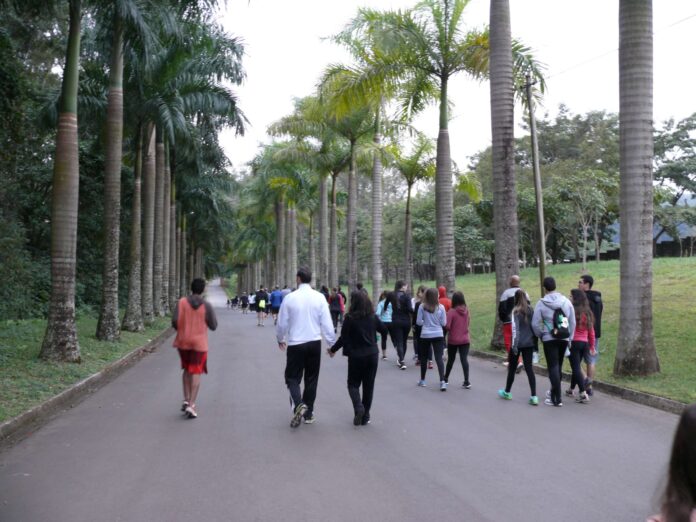 Caminhada Namatadafloresta 2018